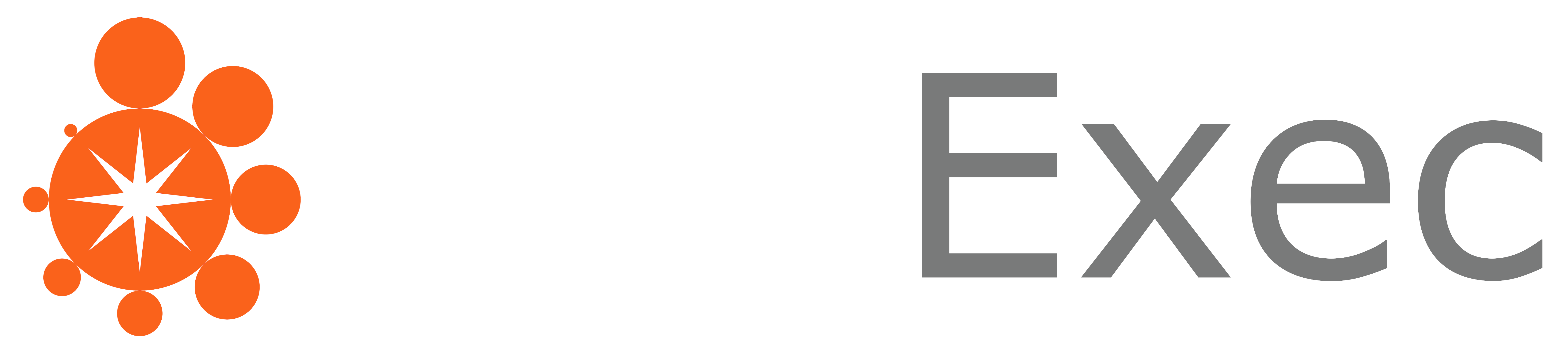 StarExec Logo
